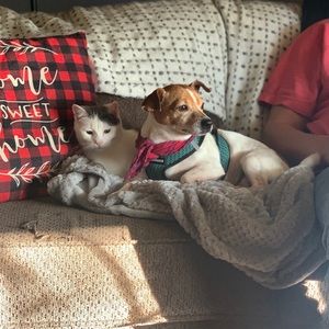 Meet your Posher, Rachel